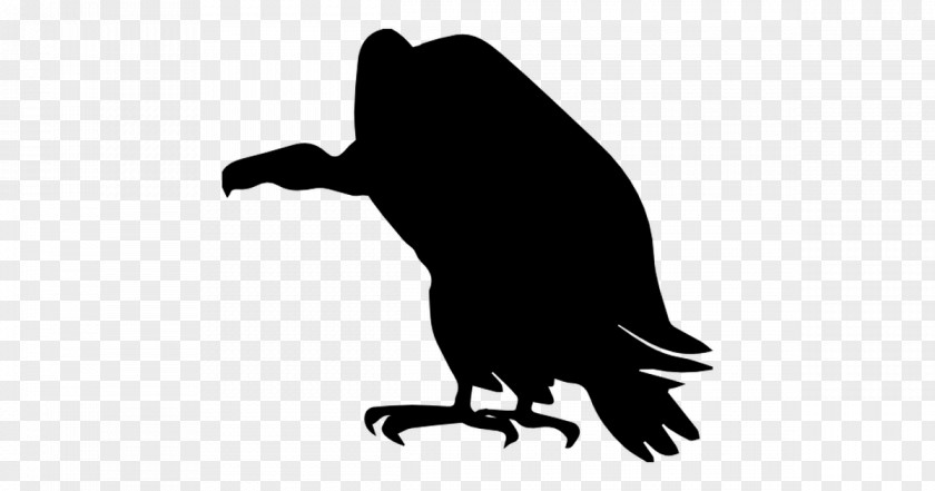 Silhouette Vulture Clip Art PNG