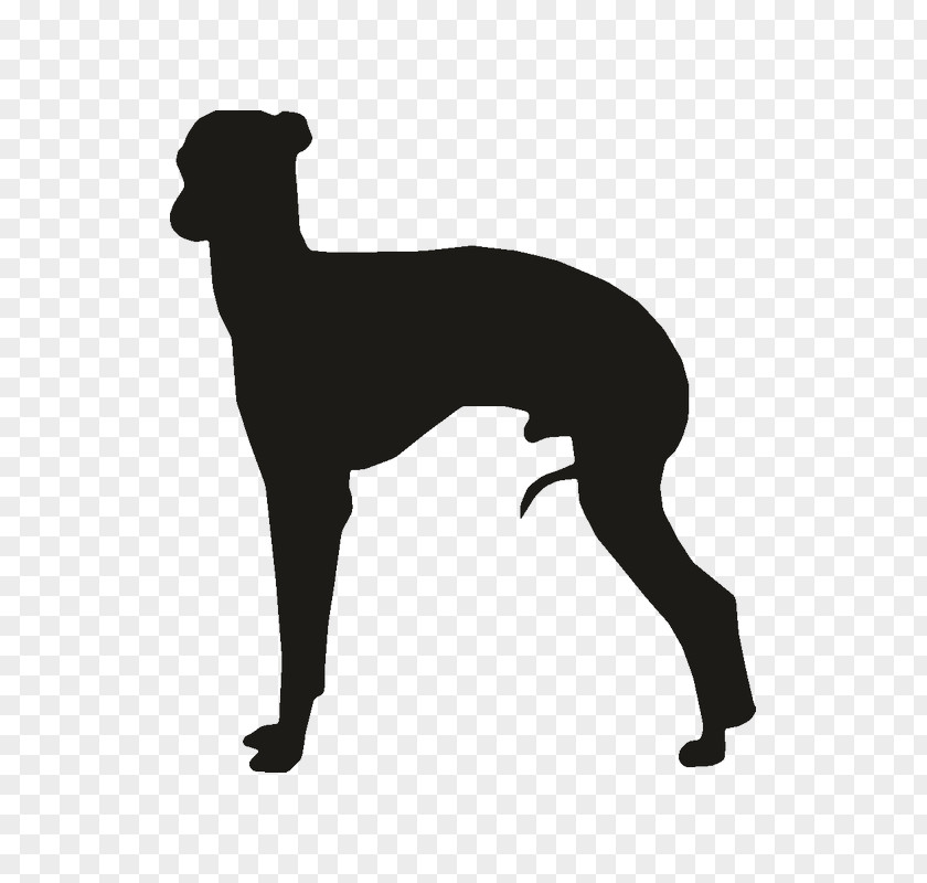 Silhouette Whippet Italian Greyhound Ibizan Hound Clip Art PNG