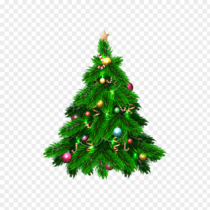 Christmas The Decorated Tree Day Vector Graphics PNG