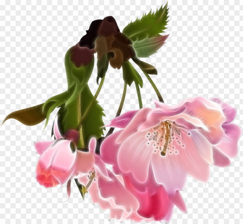 Flower Apples Blossom Clip Art PNG
