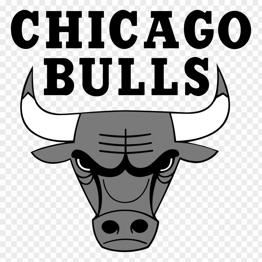 Red Bull Chicago Bulls Boston Celtics Windy City NBA United Center PNG