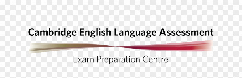 Teacher Cambridge Assessment English TKT Test School PNG