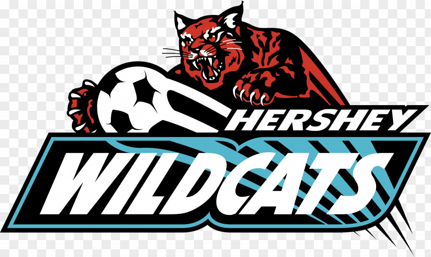 WILDCATS Logo PNG