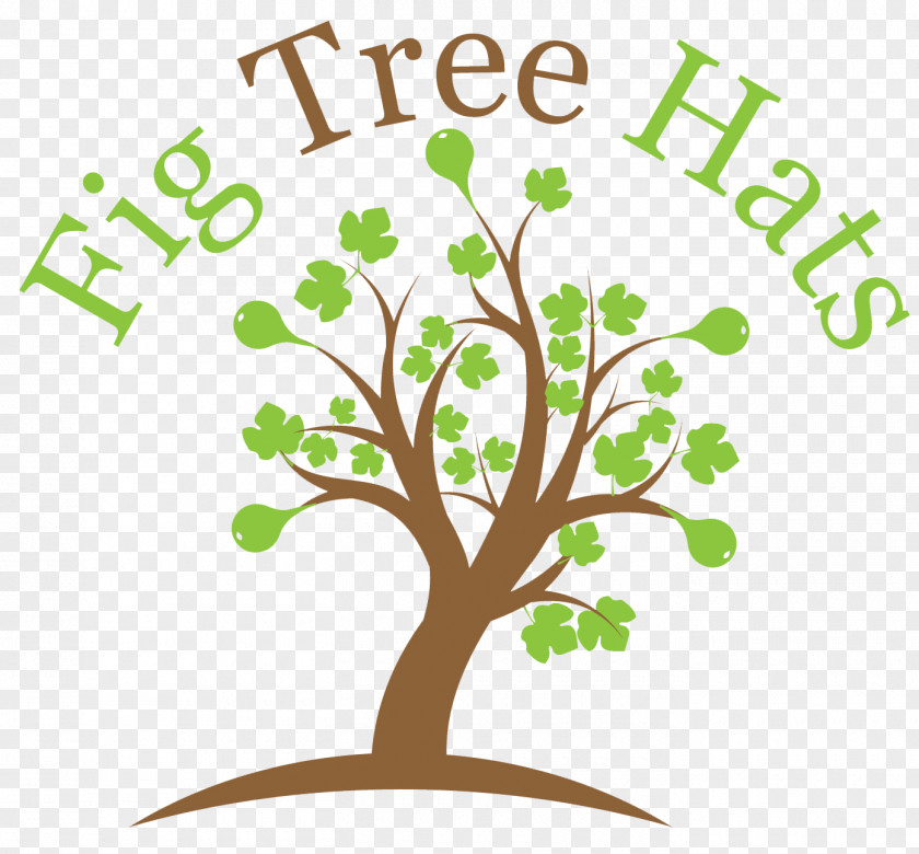Common Fig Tree Plant Clip Art PNG
