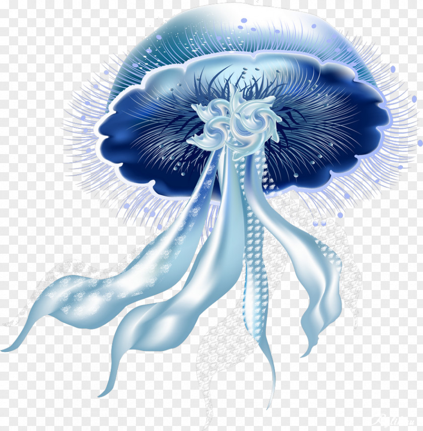 Moon Jellyfish Clip Art Image Download PNG