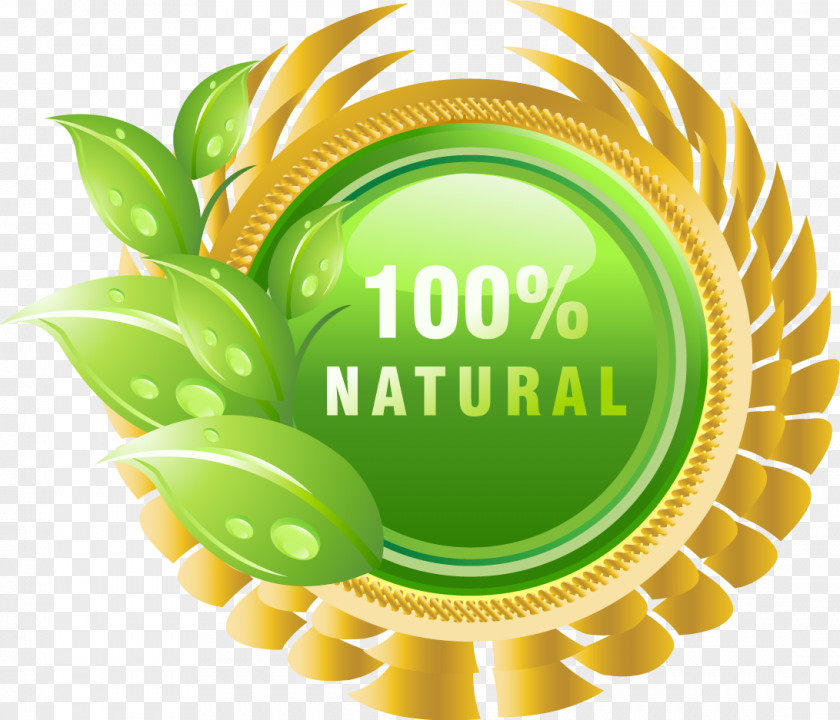 Spring Leaves Beautifully Medal Dietary Supplement Health Natural Product Extract Oil PNG