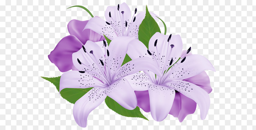 Watercolor Lilac Purple Flower Clip Art PNG