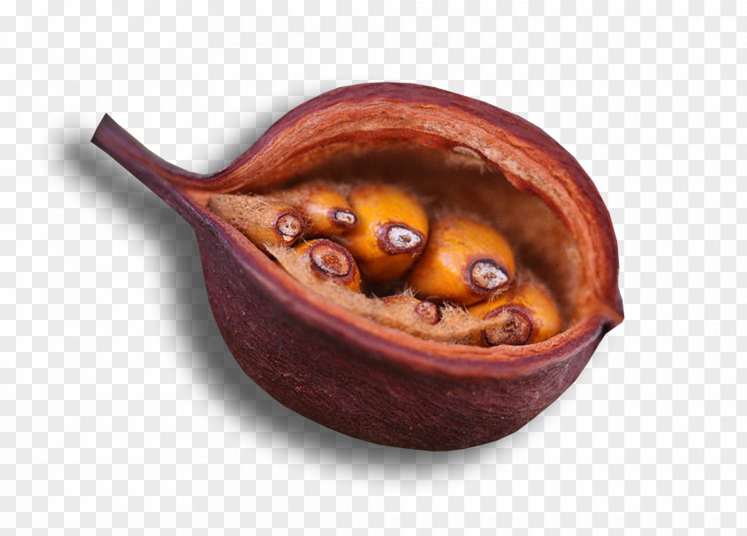 81 Bowl Superfood PNG