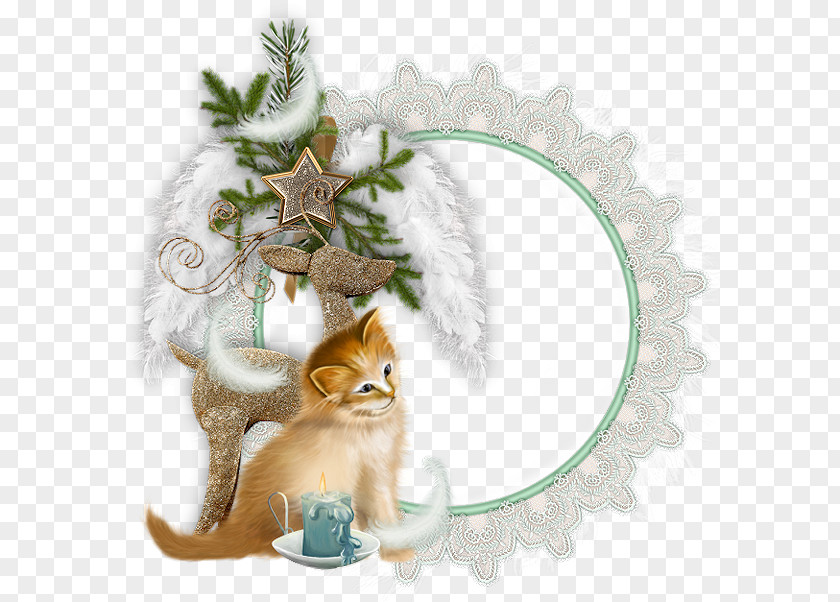 Christmas Decoration Picture Frames Kitten PNG