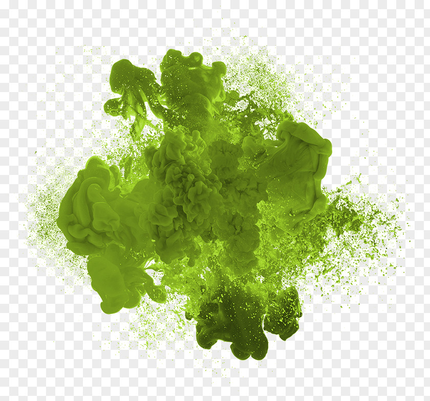 Green Ink Stock Photography Lettuce Royalty-free PNG