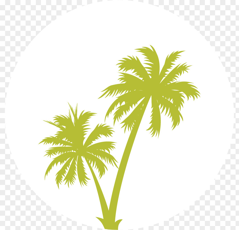 Green Island Arecaceae Clip Art PNG