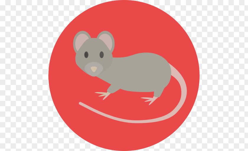 Mouse Animal Rat Rodent Clip Art PNG