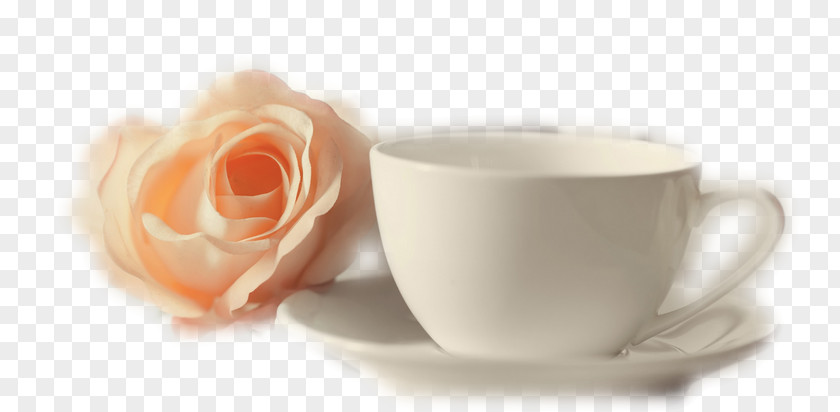 Tea Coffee Cup Garden Roses Saucer PNG