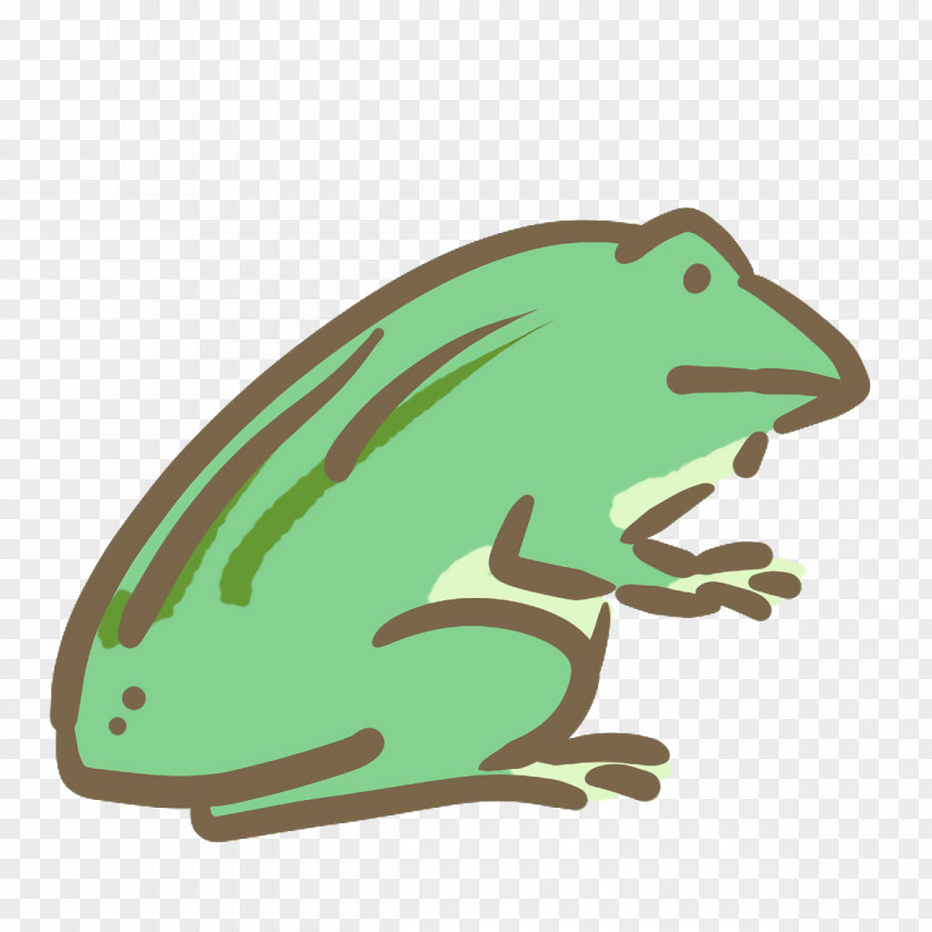 True Frog Reptiles Toad Tree Frogs PNG