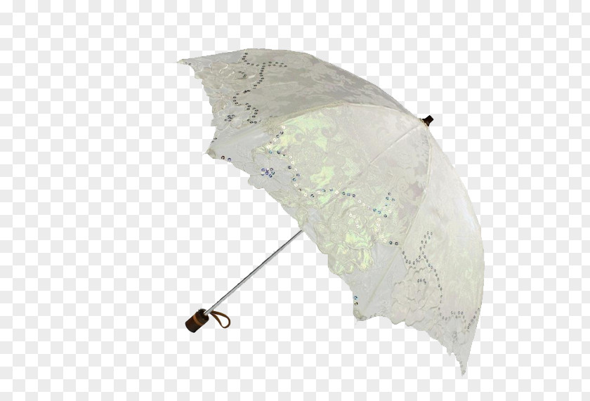 Umbrella Download PNG