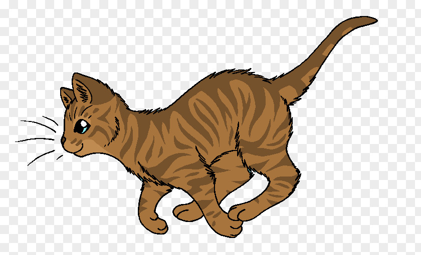 Warriors Cat Heathertail Onestar Barkface PNG