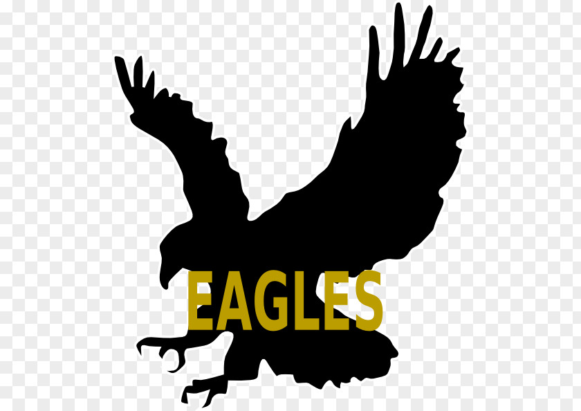 Bird Bald Eagle Silhouette Clip Art PNG