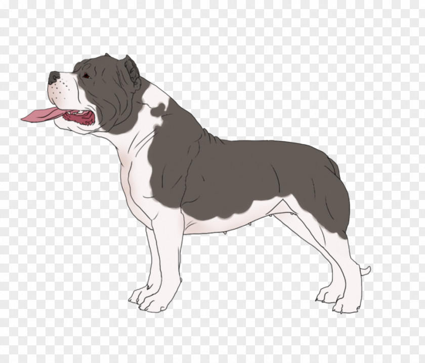 Boston Terrier Olde English Bulldogge Dog Breed Snout PNG