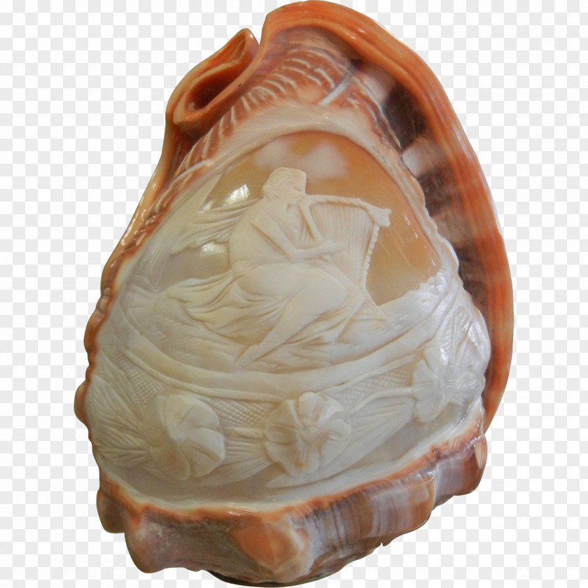 Carving Clam Shankha Conchology PNG