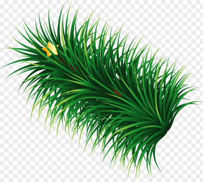 Hand Painted Green Grass Star PNG