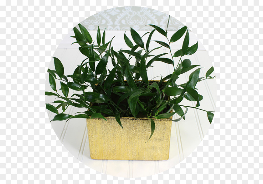 Leaf Flowerpot Herb PNG