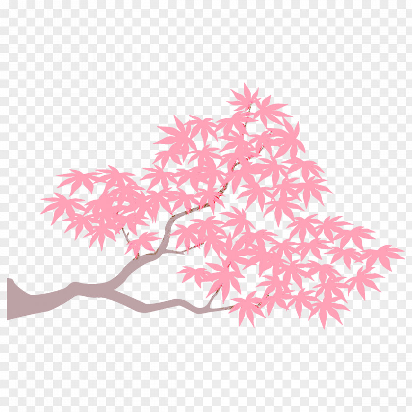 Maple Branch Leaves Autumn Tree PNG