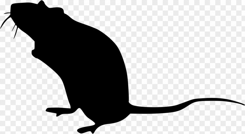Mouse Icon Whiskers Brown Rat Muroids Těsná Clip Art PNG