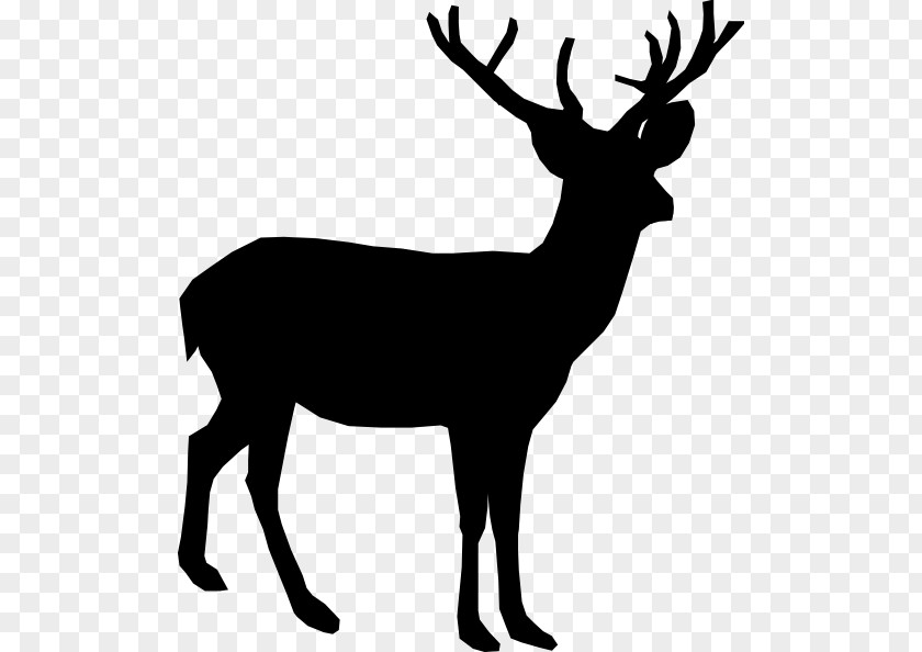Brian Cliparts The White-tailed Deer Reindeer Clip Art PNG