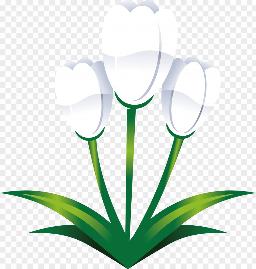 Easter Flower Spring PNG