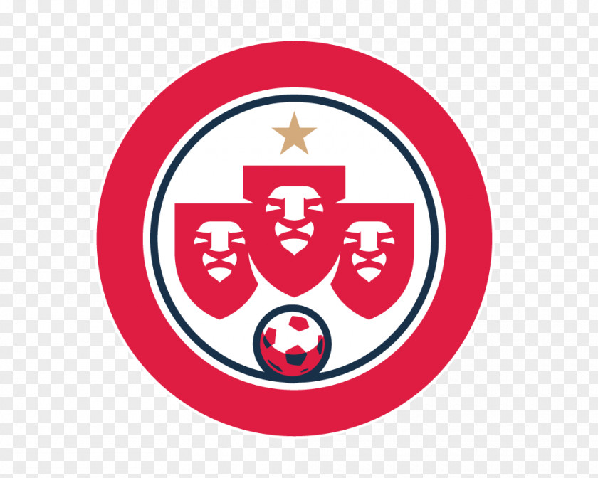 Football UEFA Euro 2020 England National Team 2016 Logo United Kingdom PNG