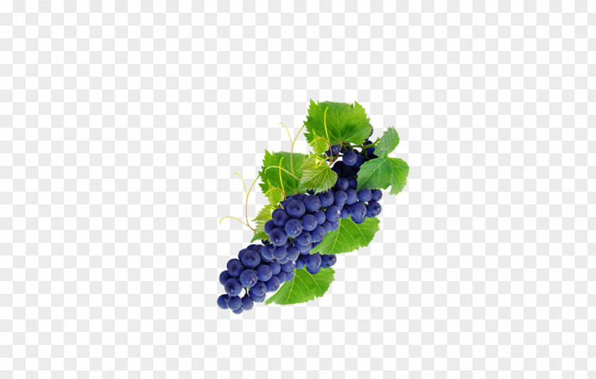 Grape Fruit Computer File PNG