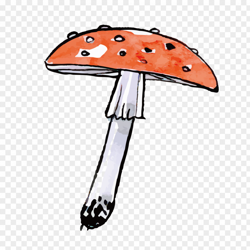 Hand Drawn Vector Fungus Wild Mushrooms Mushroom PNG