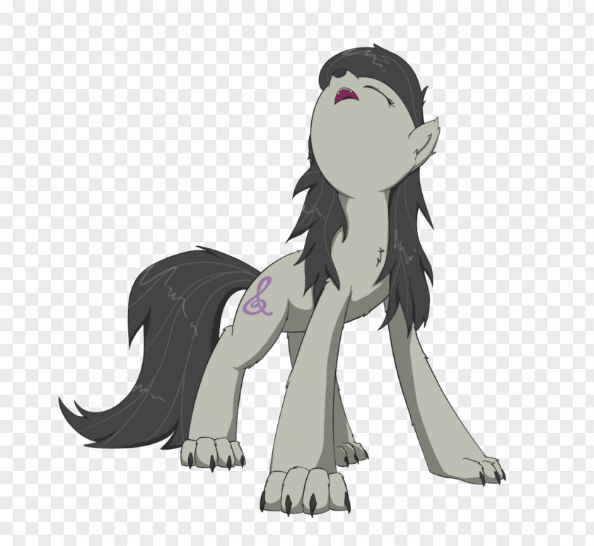 Horse Rainbow Dash Gray Wolf Fluttershy Pony Pinkie Pie PNG