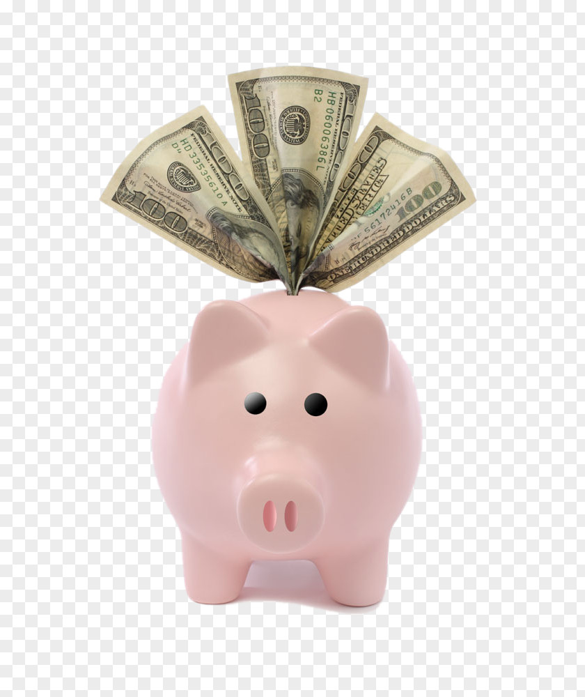 Pink Pig Piggy Bank Money United States Dollar Saving PNG