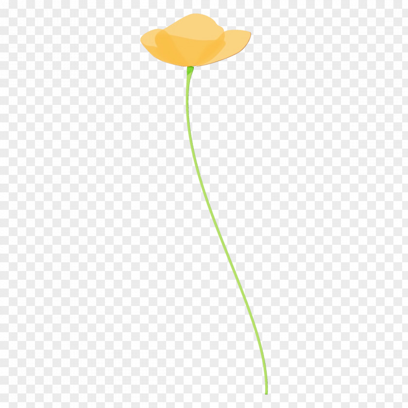 Yellow Plant Stem Leaf Flower PNG