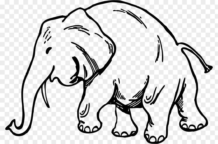 Creative Elephant Whiskers Drawing Mammoth PNG