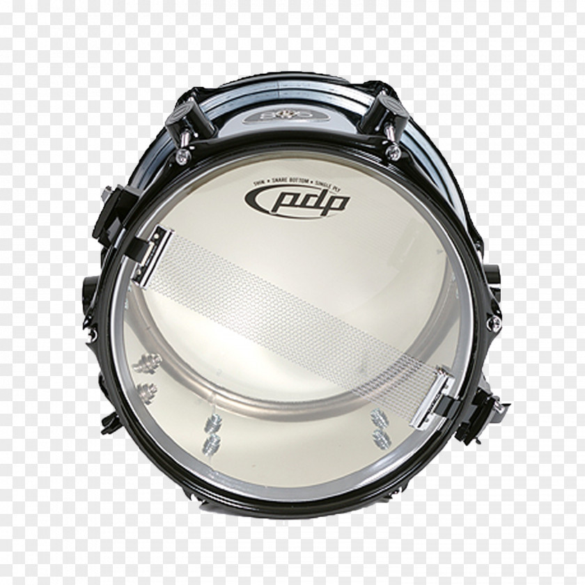 Drum Snare Drums Musical Instruments Bass PNG