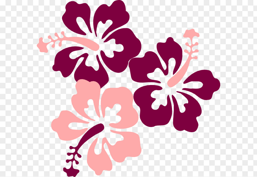 Hibiscus Hawaiian Drawing Clip Art PNG