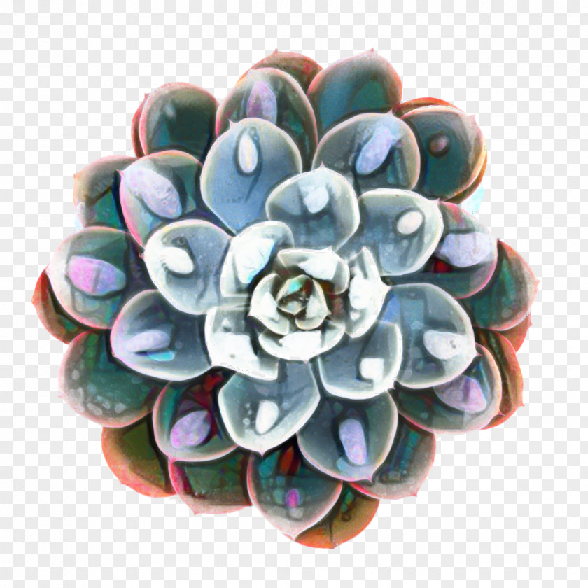 Petal Plant Cactus Cartoon PNG