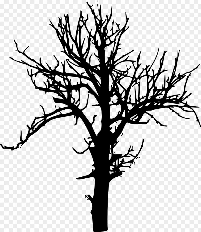 Tree Transparent Branch Desktop Wallpaper Drawing PNG