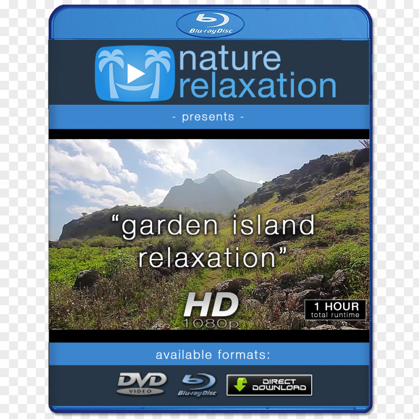 Tropical Landscape 4K Resolution Display High-definition Television 1080p Video PNG