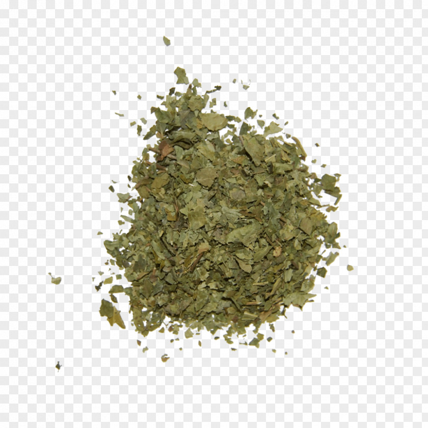 Tree Seasoning PNG