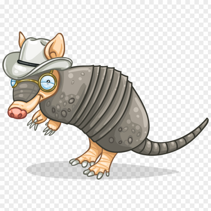 Cat Nine-banded Armadillo Rodent Terrestrial Animal PNG