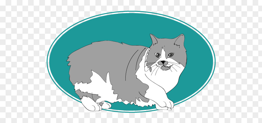 Chat Poil Long Britannique Cat Dog Illustration Cartoon Character PNG