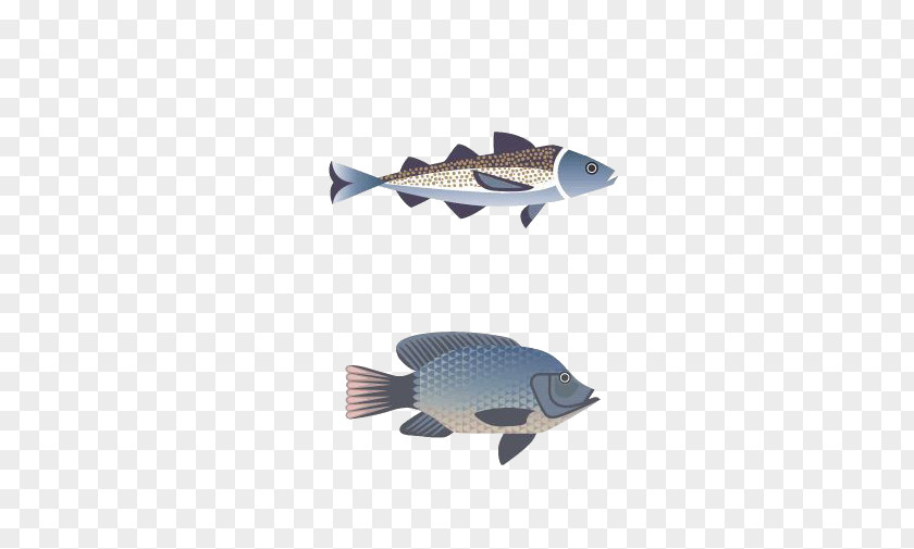 Fish ISO 216 Clip Art PNG