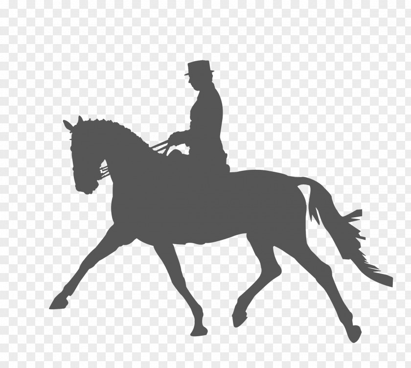 Horse Riding,Sketch Equestrianism Dressage Silhouette Clip Art PNG