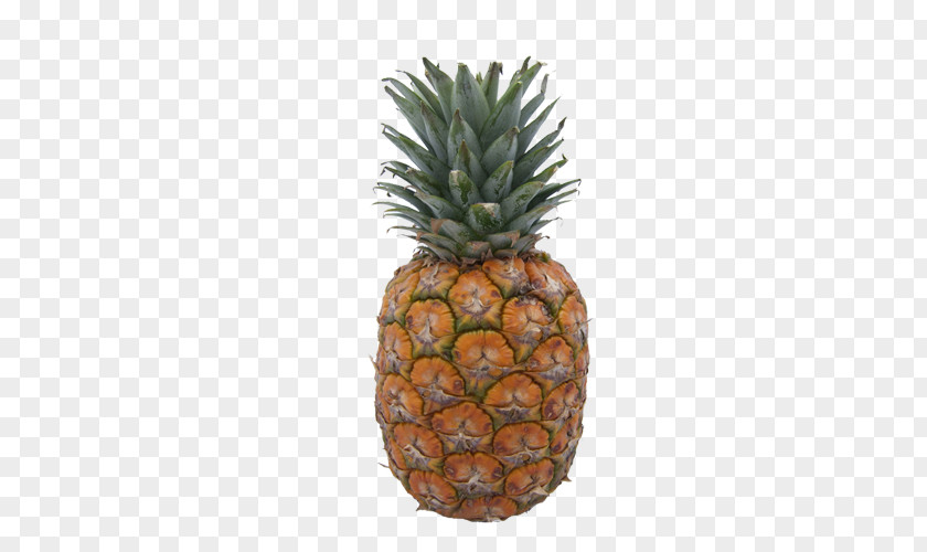 Pineapple Tropical Fruit Computer File PNG