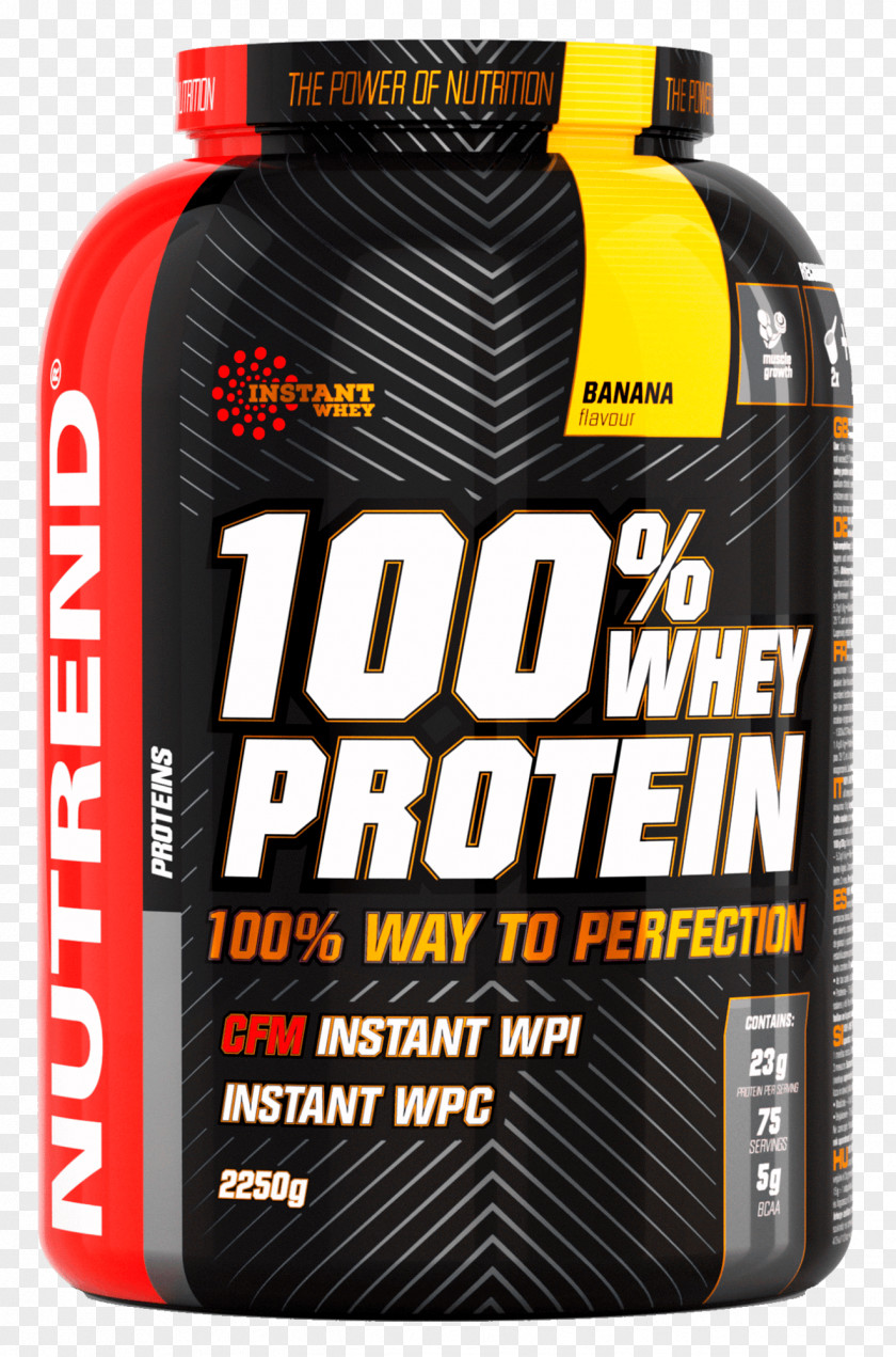 Protein Dietary Supplement Whey Nutrition PNG