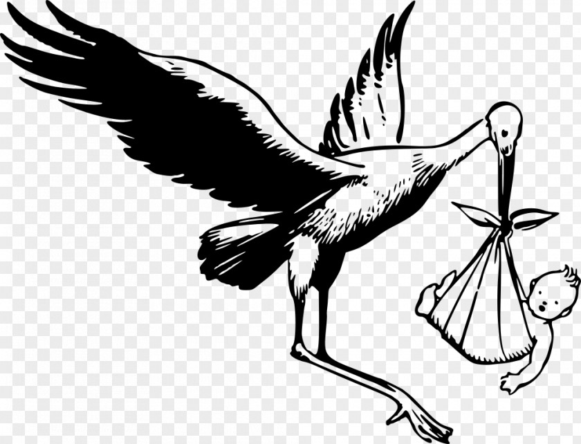 Stork White Drawing Clip Art PNG