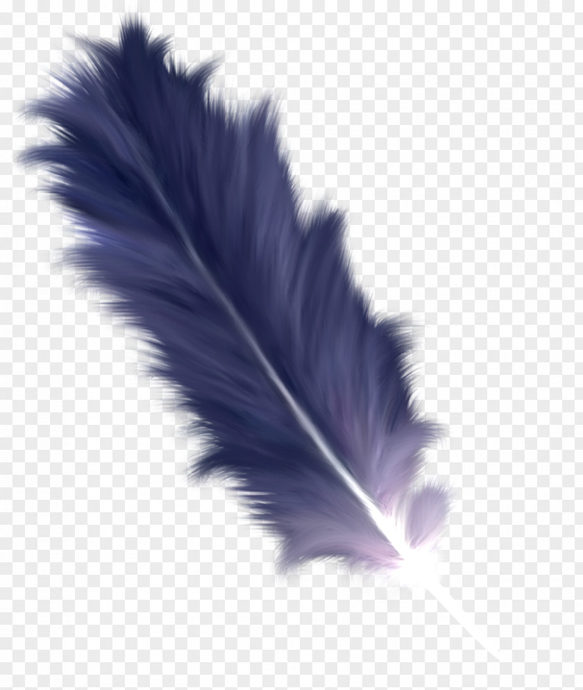 Writing Implement Wing Cartoon PNG